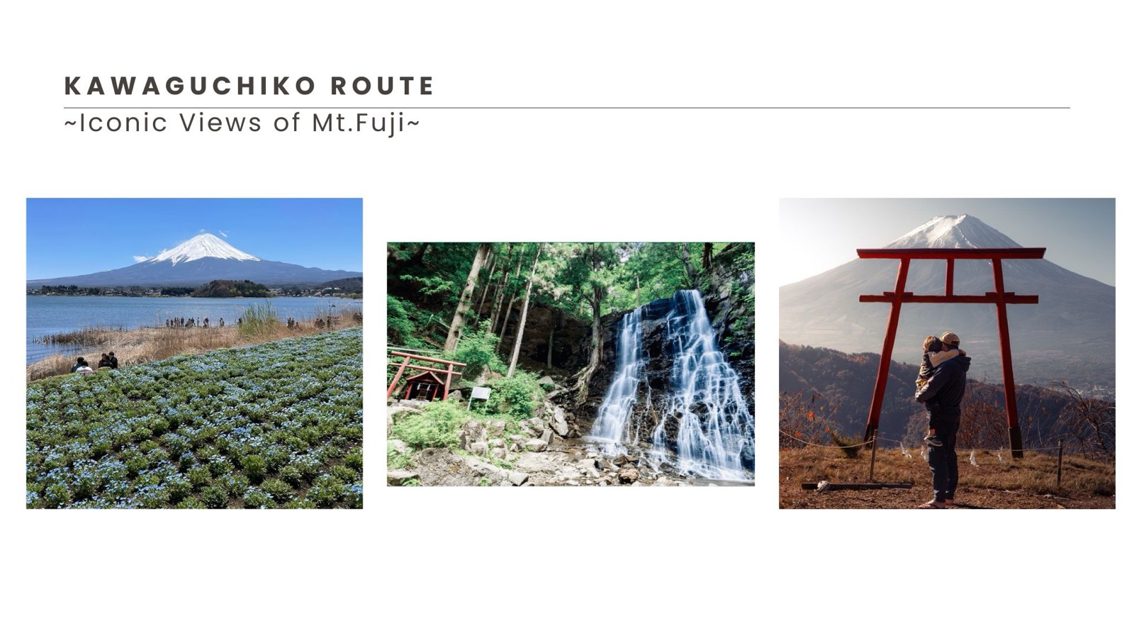Kawaguchiko route highlights