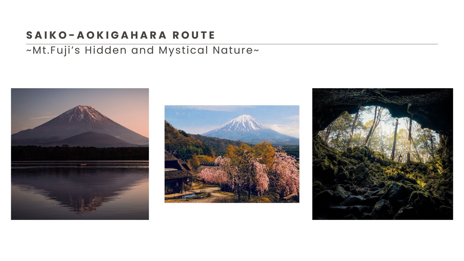 Aokigahara route highlights