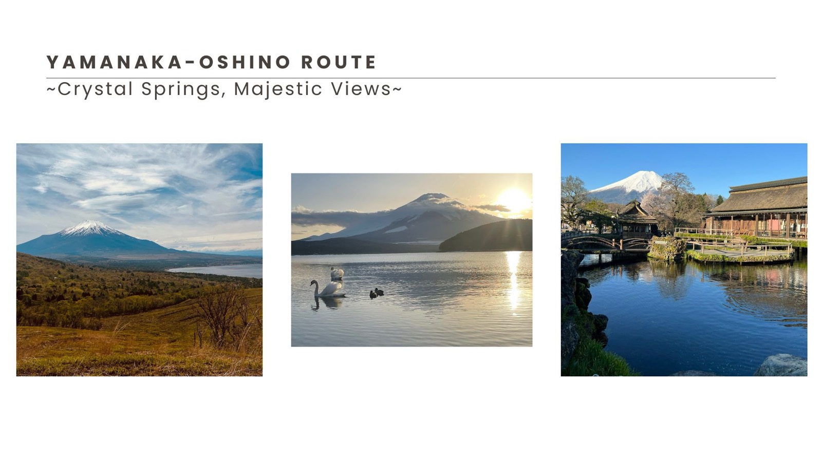 Yamanaka and Oshino route highlights