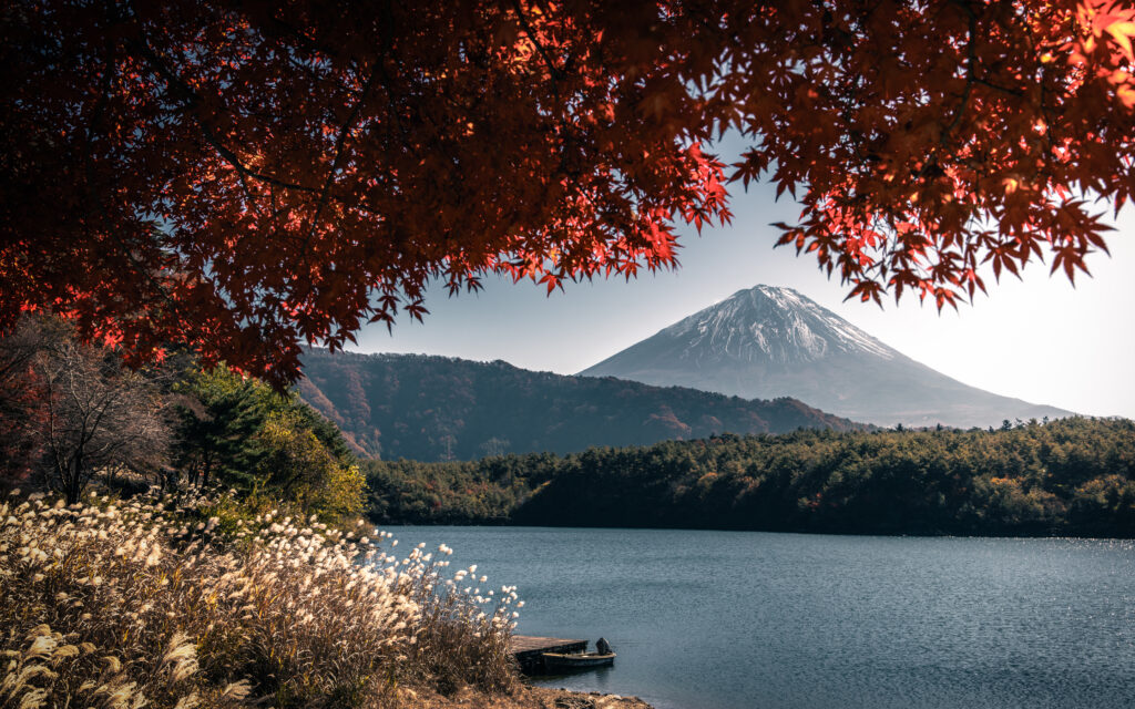 Red maple leaves and pampas grass framing snow-capped Mt. Fuji across a calm lake in autumn