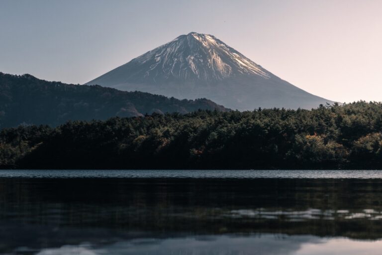 Snow-capped Mt. Fuji rising above a forested shore and a calm lake